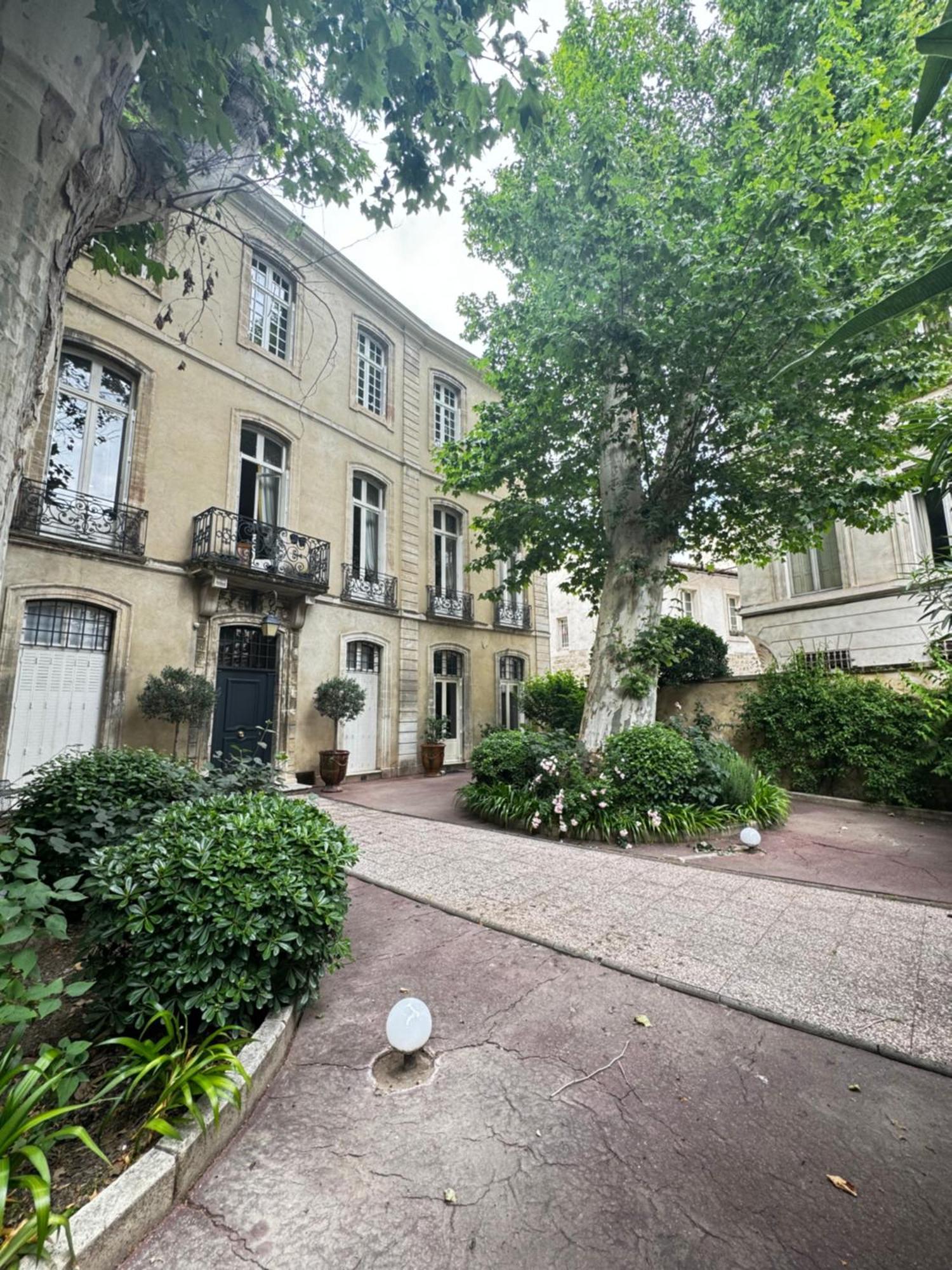 Le Cosy Du Gal, A 2 Pas Du Palais Des Papes Parking Gratuit Securise Apartment อาวีญง ภายนอก รูปภาพ